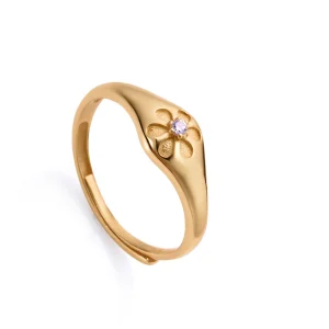 Anillo Plata De Ley Baño Oro Circ Sra Jewels