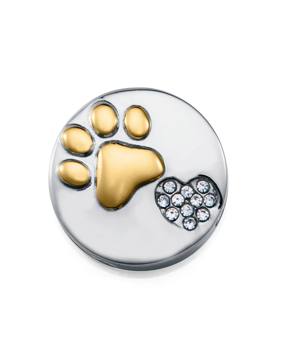 Motivo Acero Ip Dorado Circ Huella Sra Fn