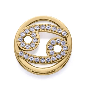 Motivo Acero Ip Dorado Circ Cancer Sra Fn