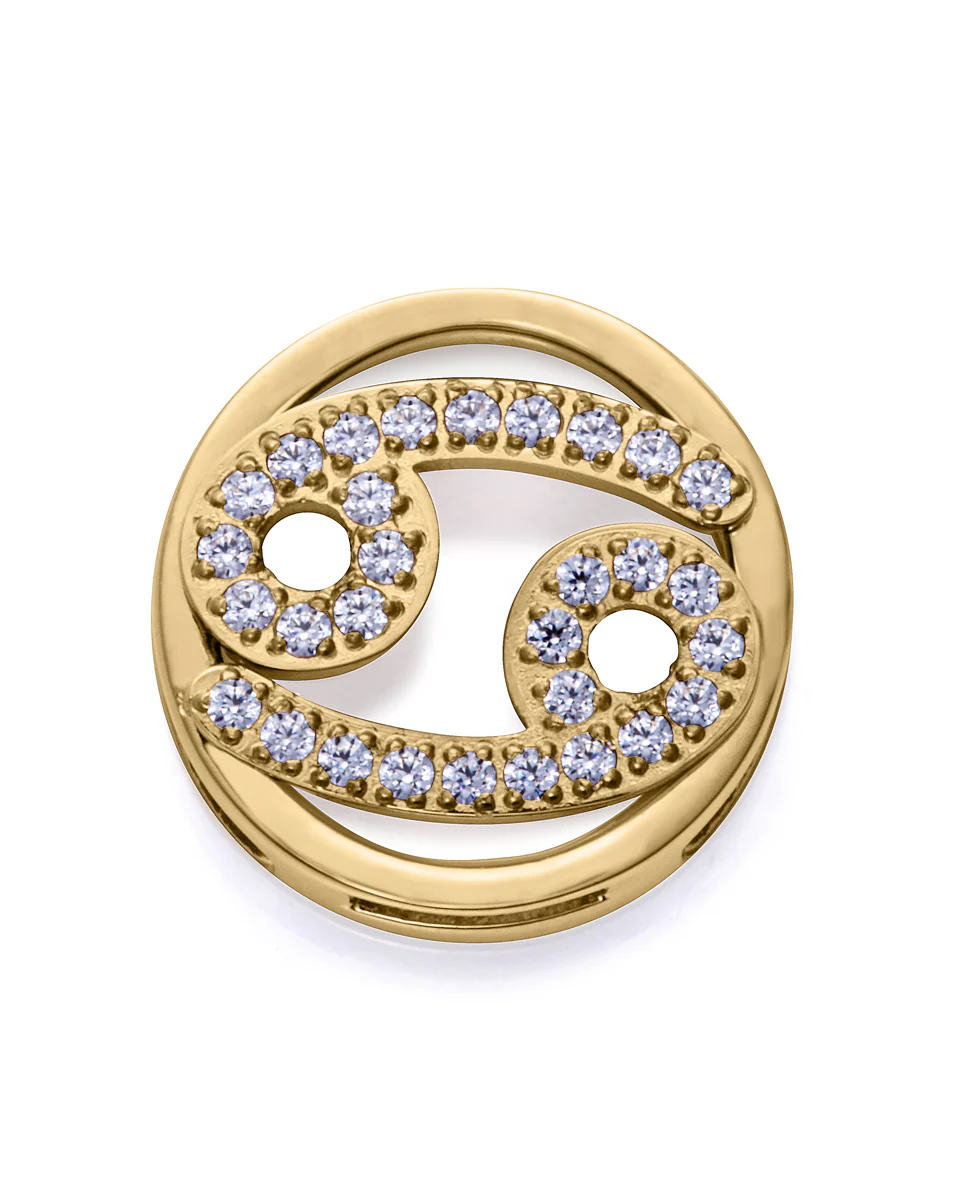 Motivo Acero Ip Dorado Circ Cancer Sra Fn