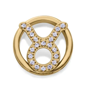 Motivo Acero Ip Dorado Circ Tauro Sra Fn