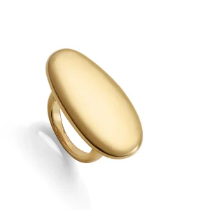Anillo Acero Ip Dorado Plano Sra Fashion