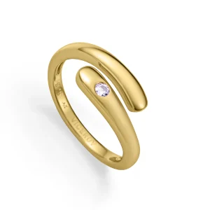 Anillo Plata De Ley Baño Oro Circ Sra Jewels