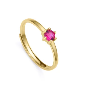 Anillo Plata De Ley Baño Oro Circ Sra Jewels