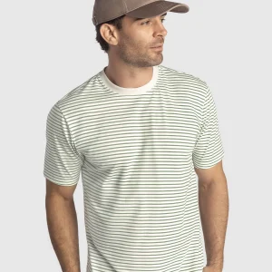 Camiseta básica estampada de manga corta