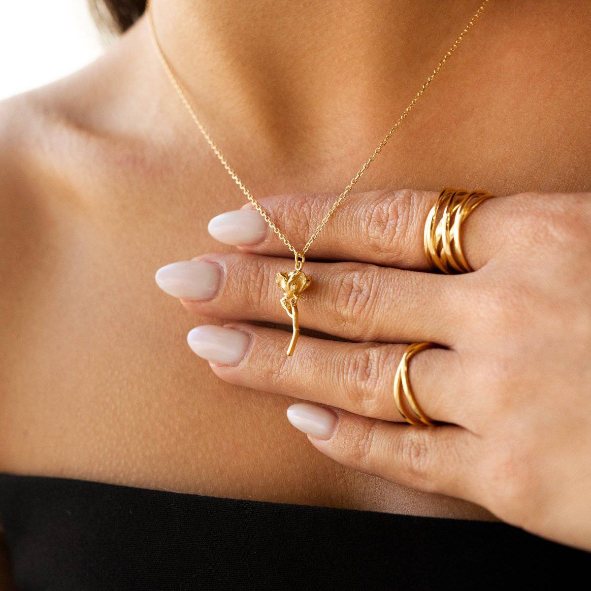 Anillo Branch - Imagen 4