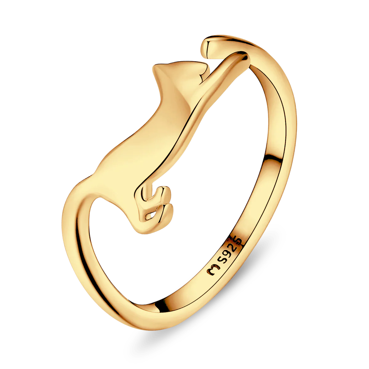 Anillo Gatuno - Imagen 5