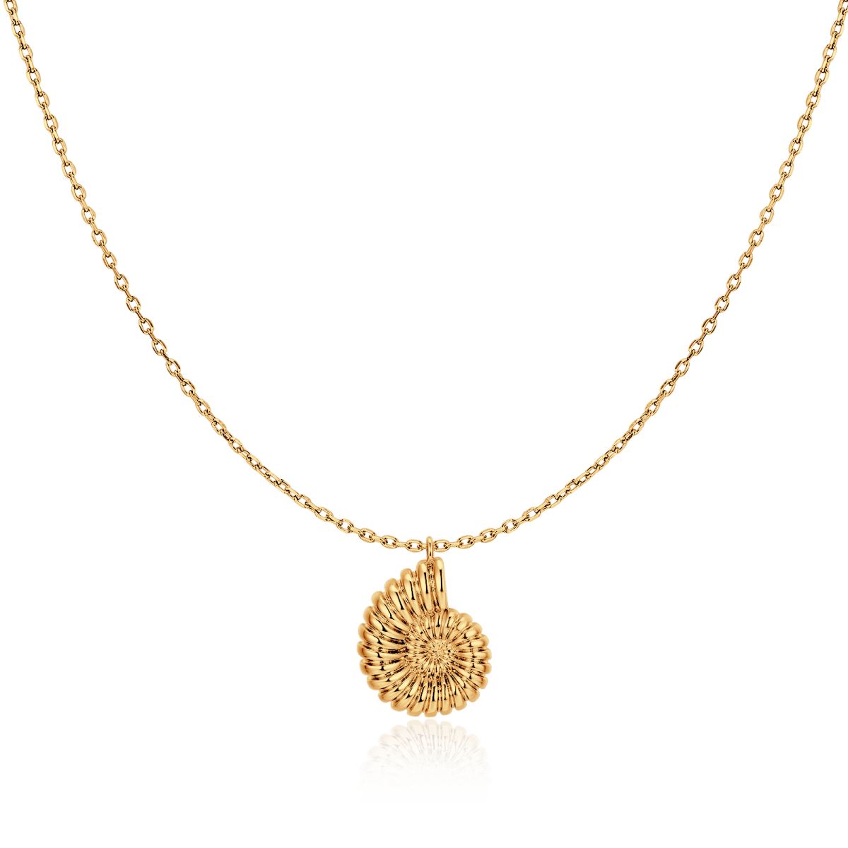 Collar Concha de Nautilus - Imagen 3
