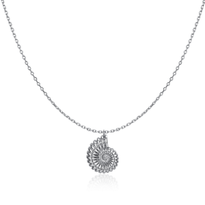 Collar Concha de Nautilus