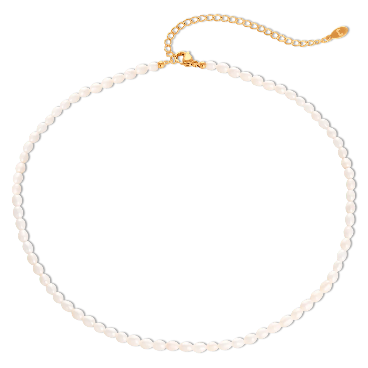 Collar Perlífero - Imagen 4