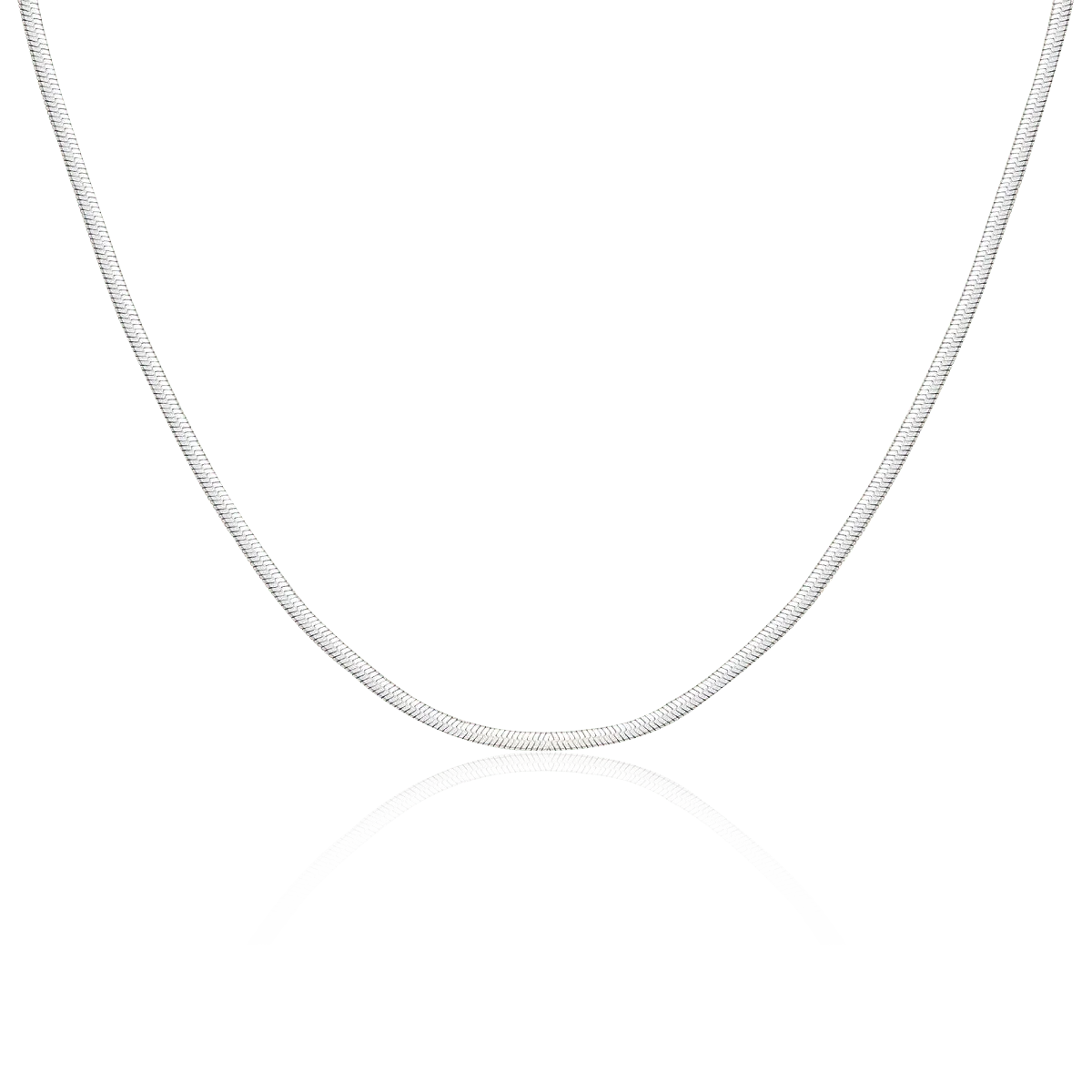 Collar Taylor 3MM - Imagen 3