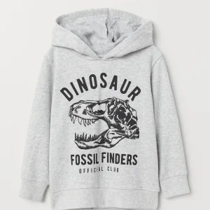 Buzo H&M Printed Hooded Sweatshirt