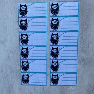 Etiquetas identificatorias termoadhesivas x 12