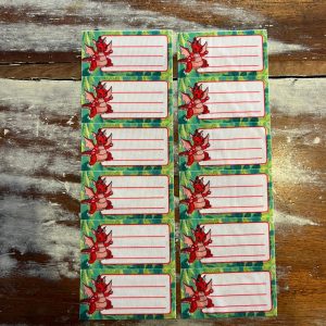 Etiquetas identificatorias termoadhesivas x 12 Dragón