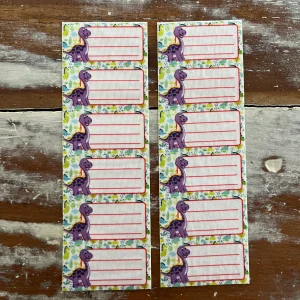 Etiquetas identificatorias termoadhesivas x 12 Dinosaurio