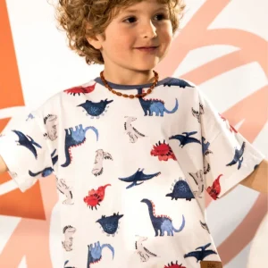 Remera de algodón mangas cortas Dinos Crayón