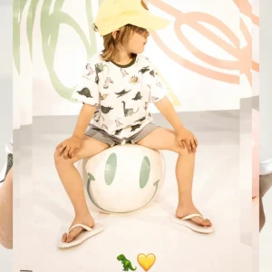 Remera de algodón mangas cortas Dinos Crayón