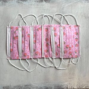 Tapaboca Descartable regulador en la nariz x6