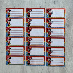 Etiquetas identificatorias termoadhesivas x 18 Minnie