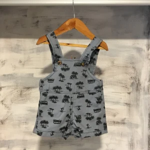 Jardinero Palmeras N& B