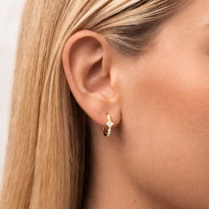 Pendientes Brillo Níveo