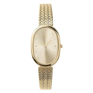 Reloj Vintage Royale ~ Gold
